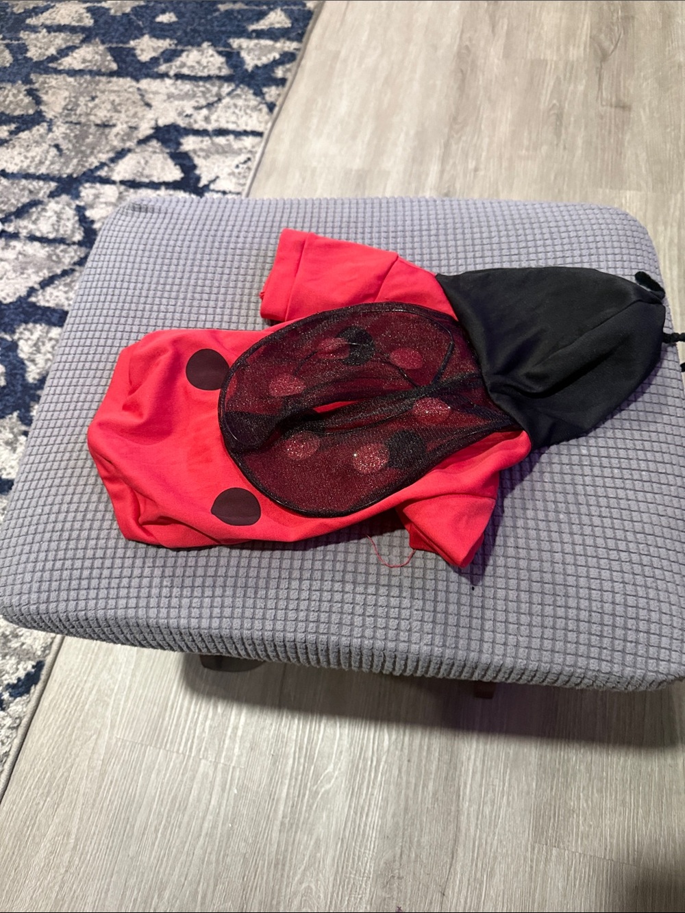 Dog Costume Red and Black Ladybug Costume Hoodie